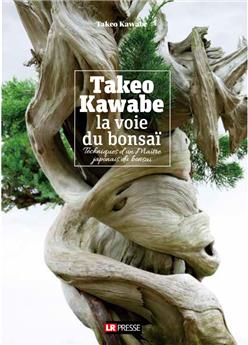 Takeo Kawabe, la voie du bonsaï
